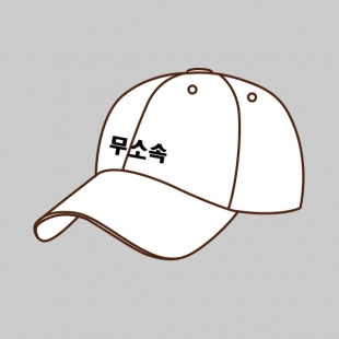 [무소속] 선거 모자